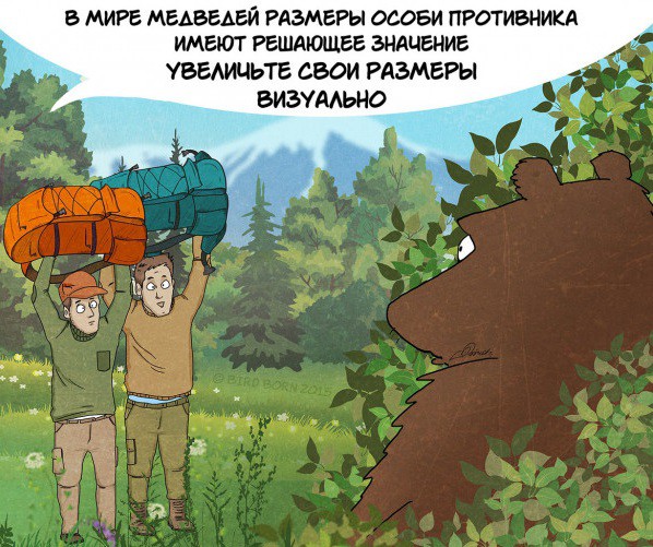 10 фактов, которые вам нужно знать о медведях 10 фактов, которые вам нужно знать о медведях