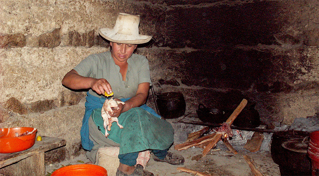 Кто такой Куй, и что с ним делают в Перу еда, морская свинка, перу