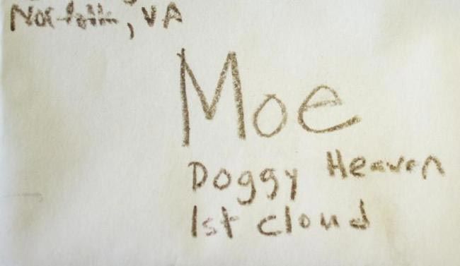 3-летний мальчик написал письмо своей умершей собаке и...получил ответ письмо, собака