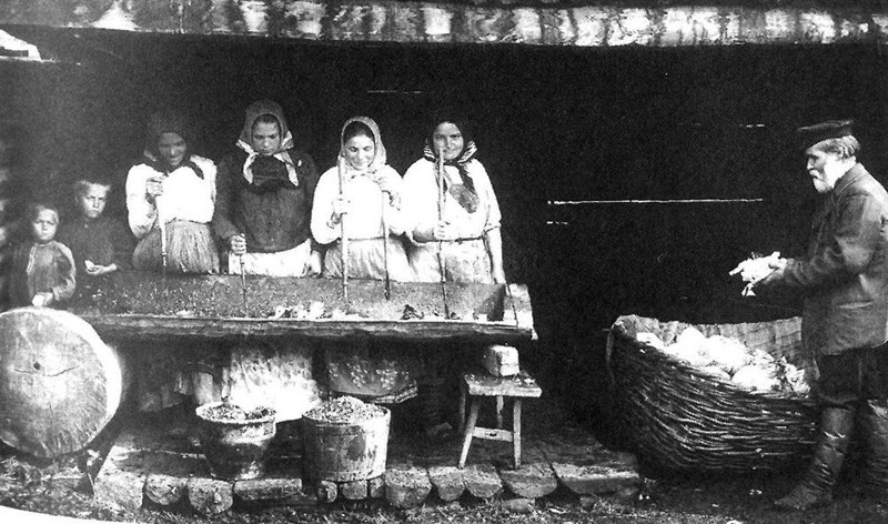 Заготовка капусты на зиму. 1914г. история, россия