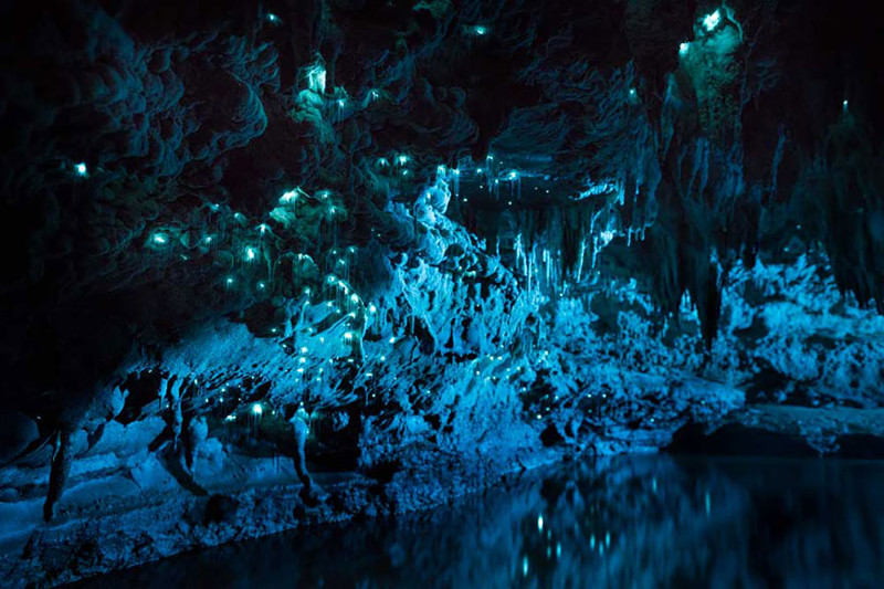 Удивительная подборка фотографий, сделанных в пещере Новой Зеландии пещера, светлячки, фото