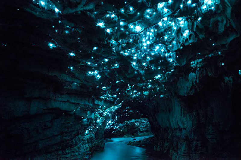 Удивительная подборка фотографий, сделанных в пещере Новой Зеландии пещера, светлячки, фото