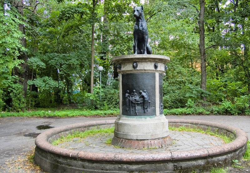 Памятник Собаке Павлова в Санкт-Петербурге памятники, памятники россии