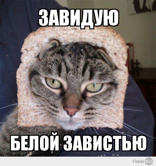 Кошка, одетая в костюм акулы, занимается чисткой кухни.