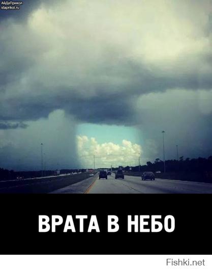 Фишкина солянка за 17.07.2014