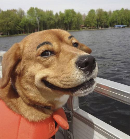 Сфоткай, типа я тут хозяин