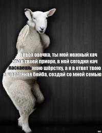 Ограбление по-кавказски