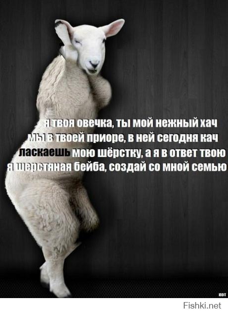 Ограбление по-кавказски