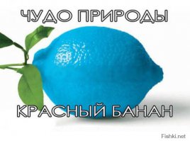 напомнило! )))