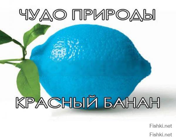 напомнило! )))