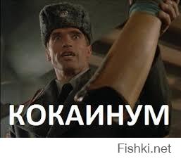 Иду гуляю, а тут..