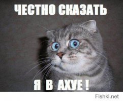 Никогда не садитесь в автобус в Мальте