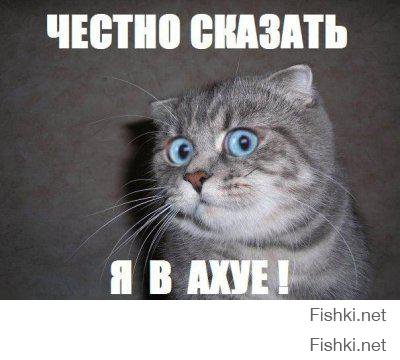 Никогда не садитесь в автобус в Мальте