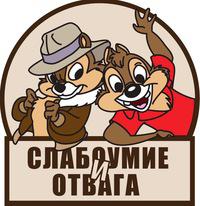 Грейдер проехал по канатному мосту