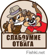 Грейдер проехал по канатному мосту