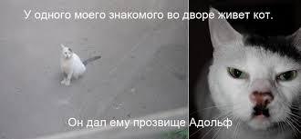 Всем оставаться на своих местах!