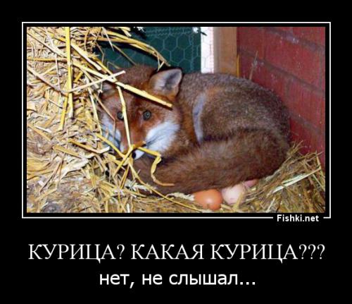 Подборка смешных, не очень и просто красивых фотографий
