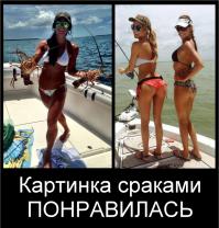 Неплохой улов