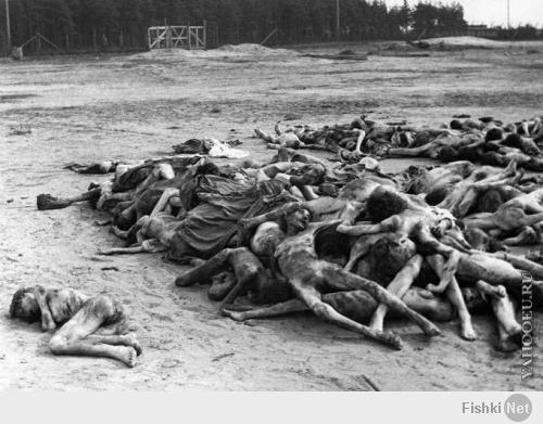 А вот эти фотографии в детстве мне МИР перевернули!!!!