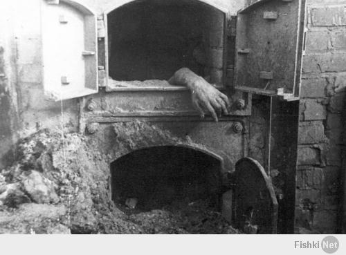 А вот эти фотографии в детстве мне МИР перевернули!!!!
