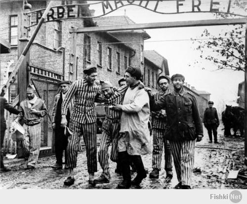 А вот эти фотографии в детстве мне МИР перевернули!!!!