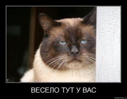 Собака-подляка