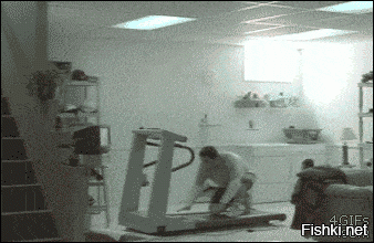 Гифки дня