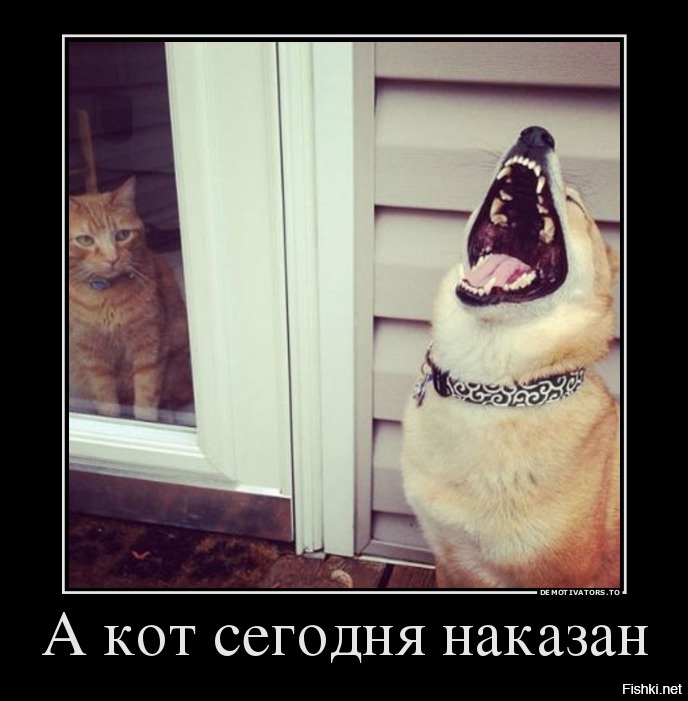 Посмеялся сам - поделись с другом!!!