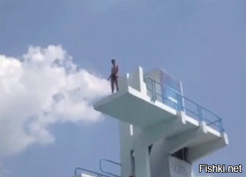 Гифки дня