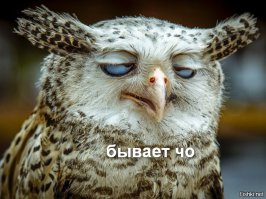 Гифки дня