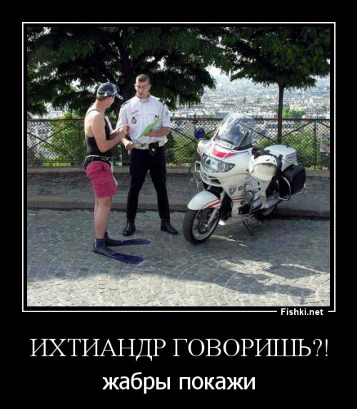 Забавные и не очень картинки и фото