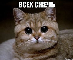 Российский неонацист задержан