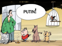 Кто взорвал магазин президента Украины?