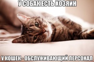 Про лень