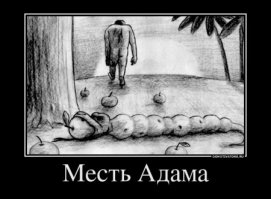 Фотоподборка за 05.06.2015
