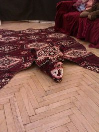 Мне вот эта понравилась