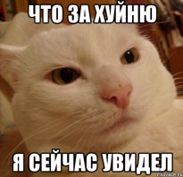 Приколы из соцсетей