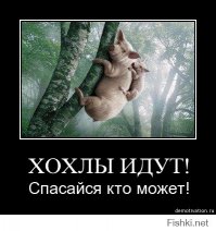 Киев начал масштабное наступление на Донбасс