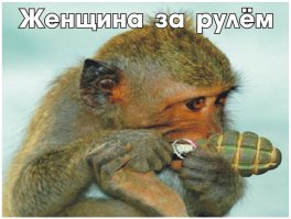 "Ой, кажется, я на что–то наехала"