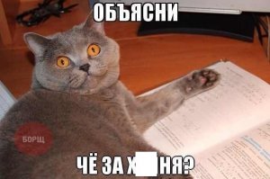 Гифки дня