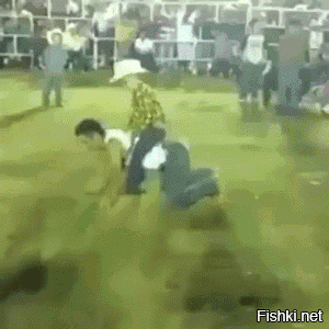 Гифки дня