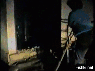 Гифки дня