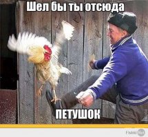 Символ миротворца подарок Папы Римского всей России