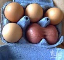 Боги фотошопа