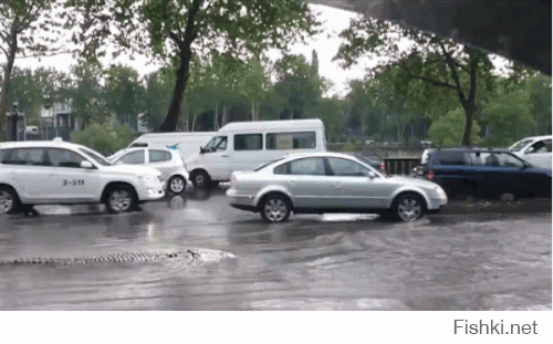 Гифки дня