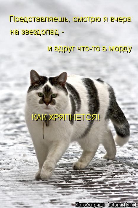 Они уникальны