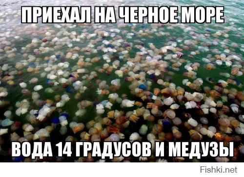 Фотоподборка за 18.06.2015
