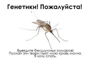 сцуко! как же верно!!!