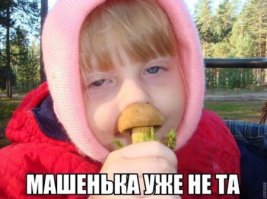Смешные картинки с надписями