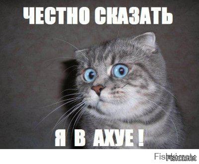 Знакомьтесь, это Скраппи